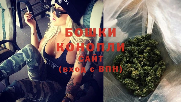 стаф Фёдоровский