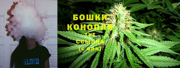 винт Нестеровская