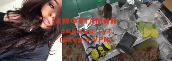 винт Нестеровская