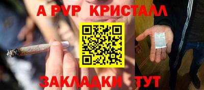 стафф Гай