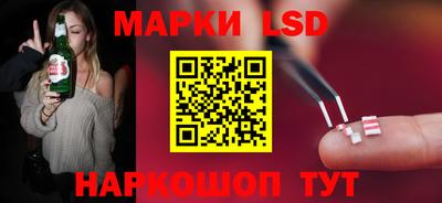 стафф Гай