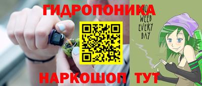 стафф Гай