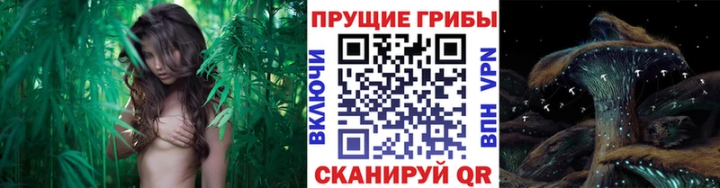 Галлюциногенные грибы ЛСД  где купить наркоту  мега как зайти  Энгельс 
