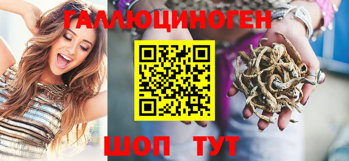 Энгельс  что такое   Вход с VPN  Псилоцибиновые грибы Magic Shrooms 