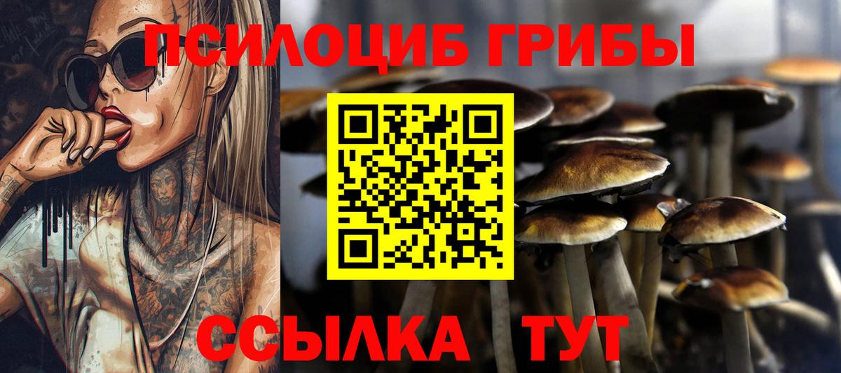 Псилоцибиновые грибы MAGIC MUSHROOMS Энгельс